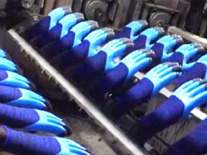 Glove factory